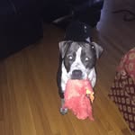 Frankie Patrick Page - @frankie_partick - Instagram