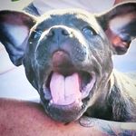 frankie perry - @frankieptt - Instagram
