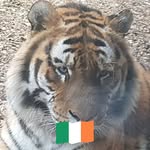 Frankie Perry - @frankieperry1969 - Instagram