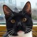 Frank Schaefer - Facebook