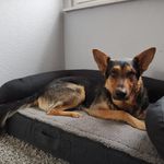 @schaefer.frankie - Instagram