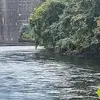 Frank Shell - @frank.shell - TikTok