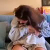 frankie - @bestrongfrankie - TikTok