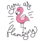 Frankie Strong - @flamingo.friends - Instagram