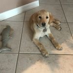 Frankie Weeks - @frankie_weeks - Instagram