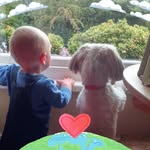 Frankie Wise - @frankiewise.7 - Instagram