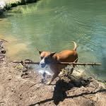 Frankie Wray - @wray.frankie - Instagram