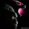 Franklin - @franklinalbertomora - TikTok
