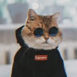 Franklin Arnold - @franklin.arnold.1029 - Instagram