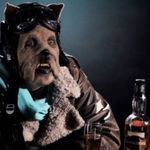 Franklin Baird - @franklinbaird - Instagram