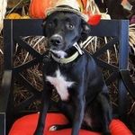 Franklin Baird - @livin_life_w_franklin - Instagram