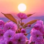 Franklin Baldwin - @franklinbaldwin899 - Instagram