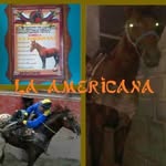 Franklin Barrera - @pakybarrera - Instagram