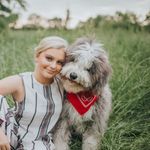 Franklin Honu Bates Rodenbaugh - @frankfrank.thesheepadoodle - Instagram