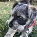 Baxter Franklin Rollins - @baxterfranklinrollins - Instagram