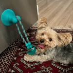 Franklin B. Arnold - @franklinbaxterarnold - Instagram