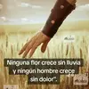 Franklin Bernardo - @franklinbernardo74 - TikTok
