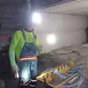 Frankie Bird - @frankie.bird5 - TikTok
