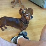 Franklin Bishop - @franklinb060 - Instagram