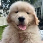 Franklin Blake - @the.franklin.stein - Instagram