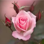 Franklin Blakes - @franklinblakes12 - Instagram