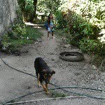 Franklin Blanco - @franzenblaemei_ - Instagram