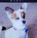 Franklin Blevins - Facebook