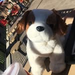 Franklin - @franklin_fromthe_block - Instagram