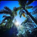 Franklin Bradley - @franklin__bradley - Instagram