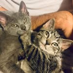 Brady & Franklin - @bradyfranklinbrothers - Instagram