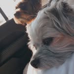 Brady & Franklin - @franklin.brady5 - Instagram