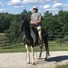 Bradyfranklin01 - @bradyfranklin01 - TikTok