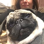 Franklin Brady & Stella Lico - @frankandstella89 - Instagram