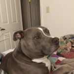 Brock Franklin - @brock.franklin.7927 - Instagram