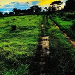 :"( - @franklin_carrasco03 - Instagram