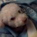 Franklin Chamberlain - Facebook