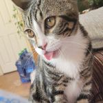 Franklin Cherry - @franklincherry40 - Instagram