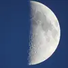 Franklin Chi - @franklin.chi5 - TikTok