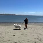 Frank Lin Chow - @f_chw - Instagram