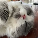 Franklin - @franklin_chow0118 - Instagram