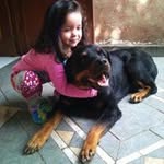 Franklin Perez Tapia - @franklin_chu - Instagram