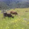 Franklin Collazos - @franklin.collazos - TikTok