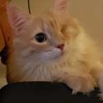 Franklin Craft - @craftycitty - Instagram