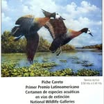 Franklin Efraín pinza criollo - @franklinefrainpinzacriollo - Instagram