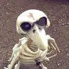 franklin.the_crow - @franklin.the_crow - TikTok