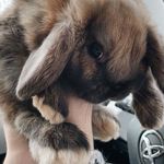 Franklin Cunningham - @franklinjcunningham - Instagram