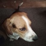 Franklin Cunningham - @fcunningham4402 - Instagram