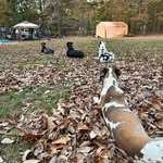 Franklin Dodson - @franklindodson1 - Instagram