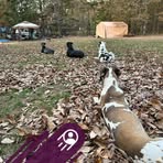 Franklin Dodson - Facebook