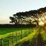 Franklin - @frankdowell09 - Instagram